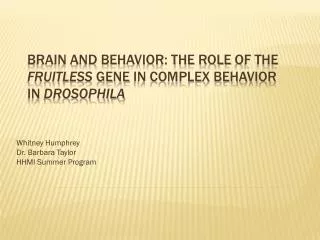 Brain and Behavior: The Role of the fruitless gene in Complex Behavior in Drosophila