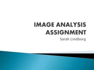 IMAGE ANALYSIS ASSIGNMENT