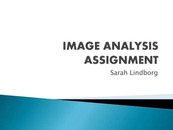 image analysis assignment