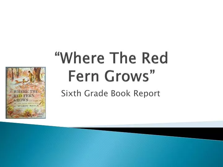 where the red fern grows