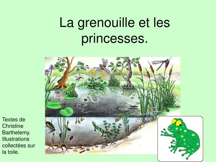 la grenouille et les princesses