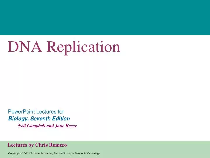 dna replication