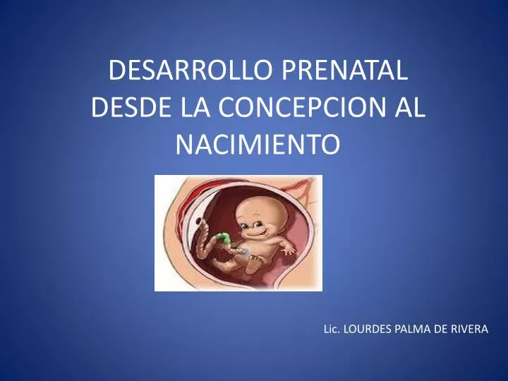 desarrollo prenatal desde la concepcion al nacimiento