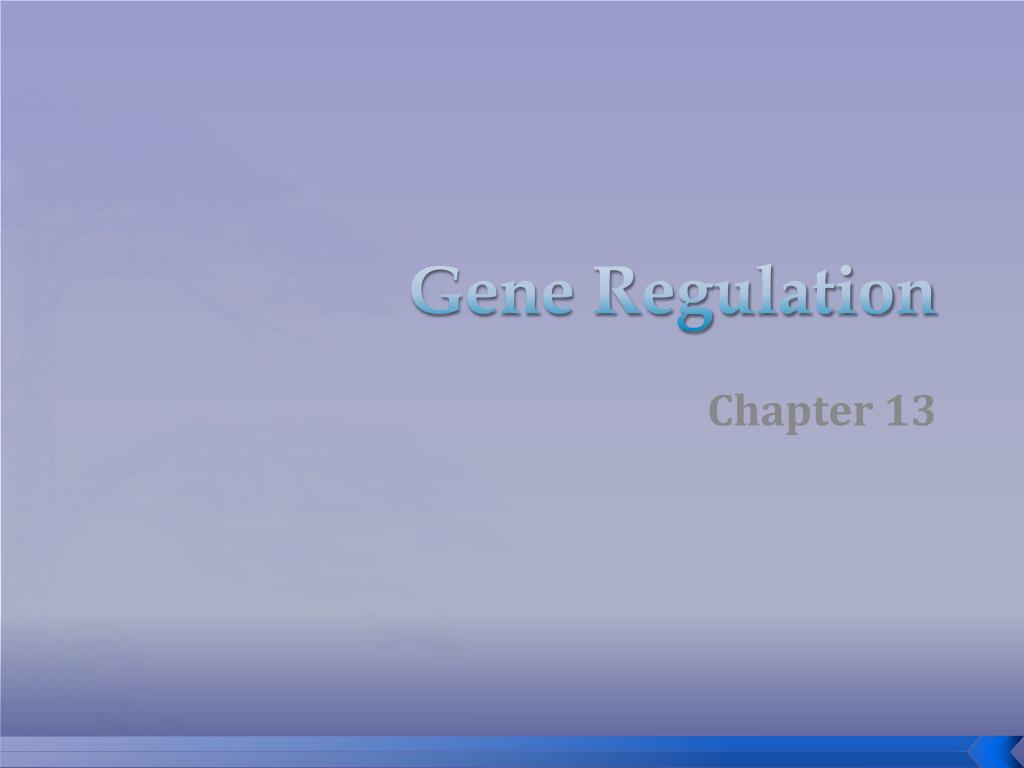 PPT - Gene Regulation PowerPoint Presentation, free download - ID:2596599