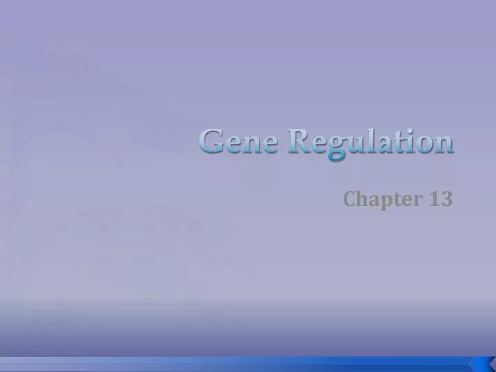 gene regulation