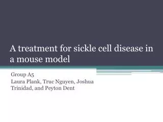 A treatment for sickle cell disease in a mouse model