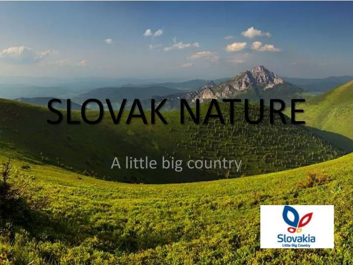 slovak nature