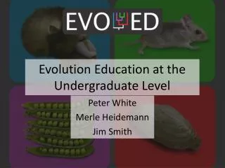 Evolution Education at the Undergraduate Level