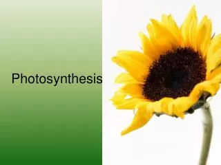 Photosynthesis