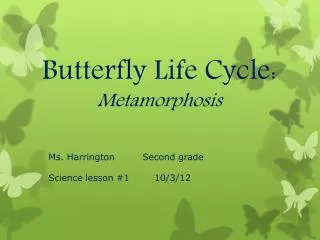 Butterfly Life Cycle: Metamorphosis