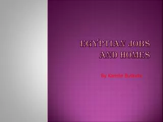 Egyptian Jobs And Homes