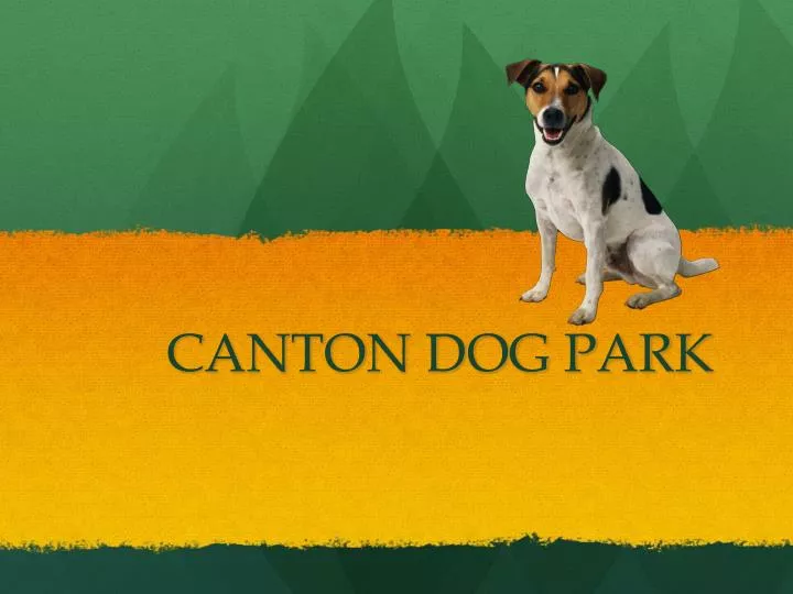 canton dog park