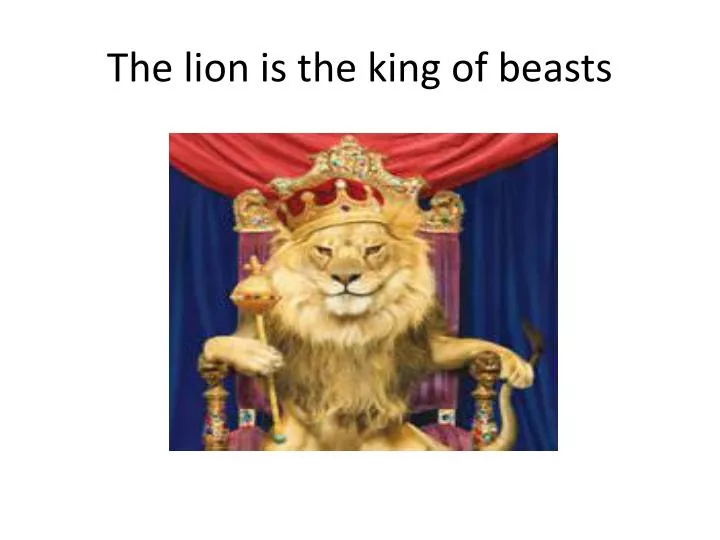 the lion is the king of beasts