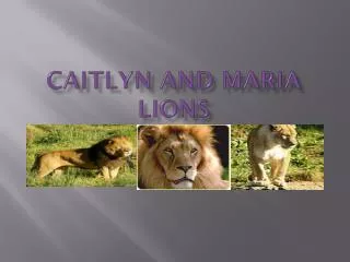 Caitlyn and maria lions