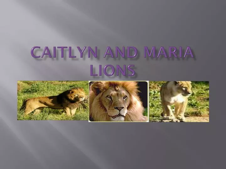 caitlyn and maria lions