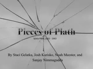 Pieces of Plath