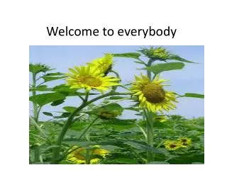 Welcome to everybody