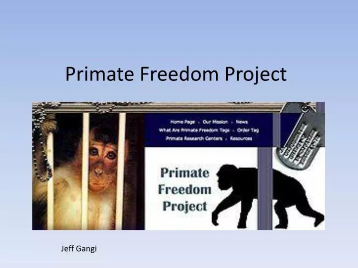 primate freedom project