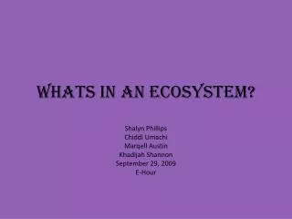 Whats In an ecosystem?