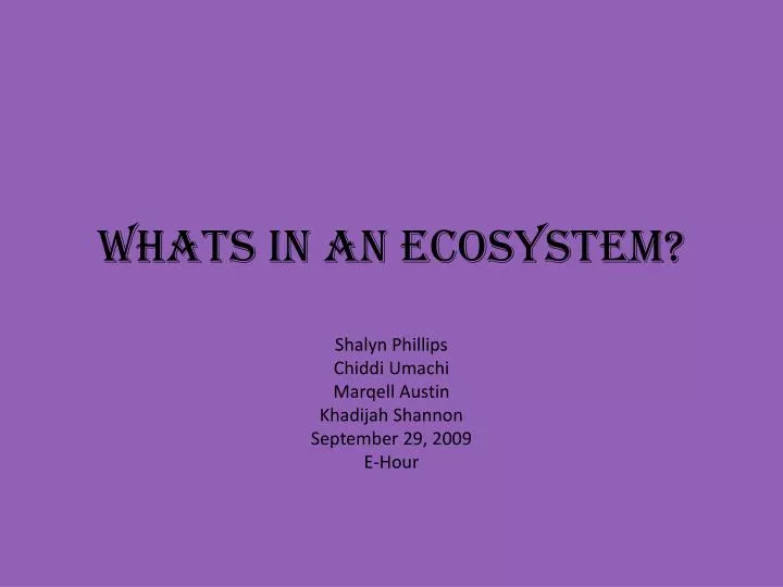 whats in an ecosystem