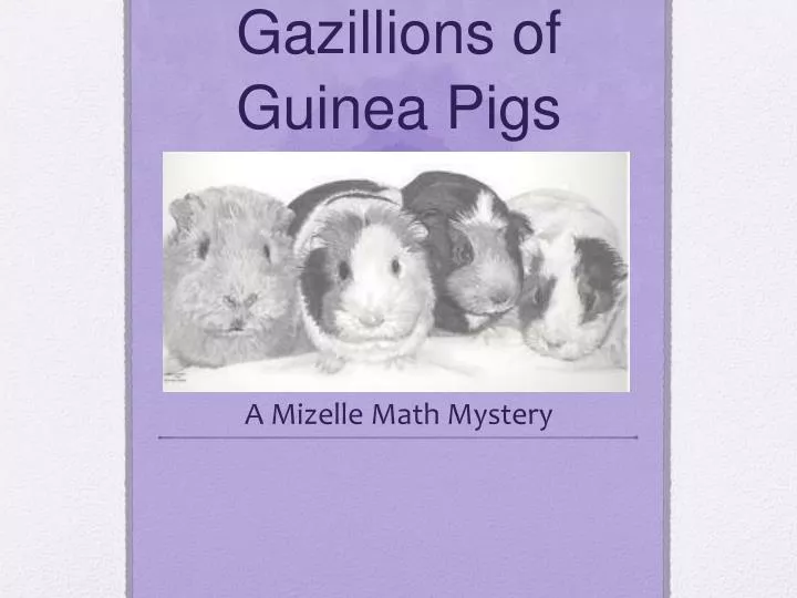 gazillions of guinea pigs