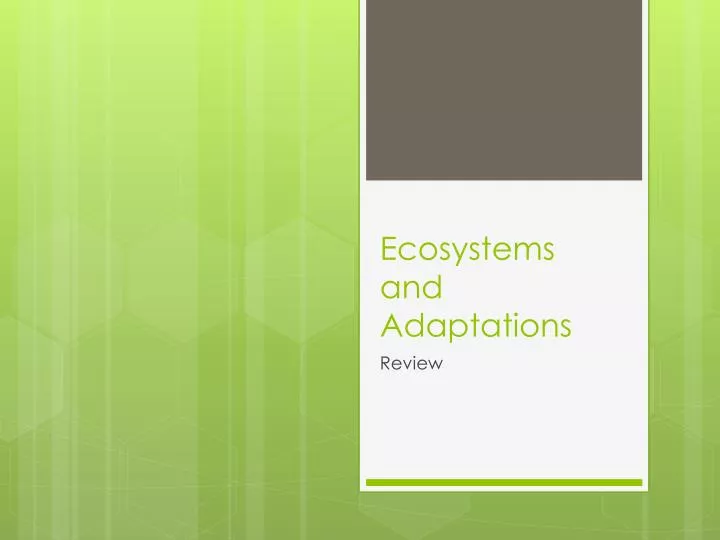 ecosystems and adaptations