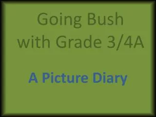 Going Bush with Grade 3/4A