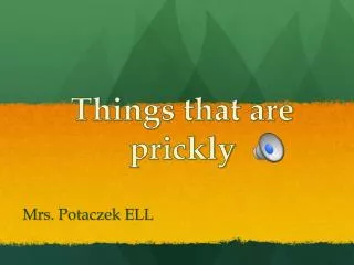 Things that are prickly