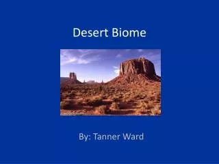 Desert Biome