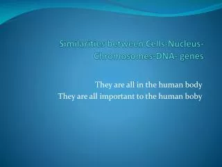 Similarities between Cells-Nucleus-Chromosomes-DNA- genes