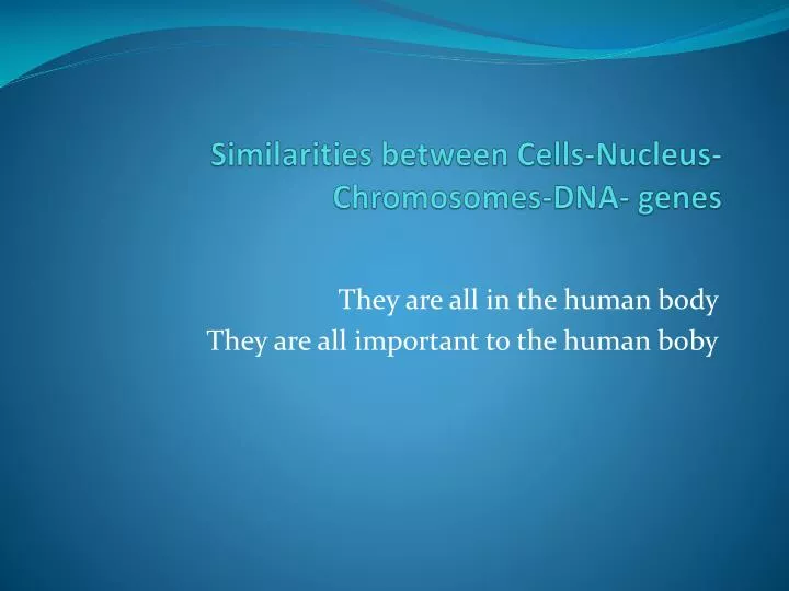 similarities between cells nucleus chromosomes dna genes