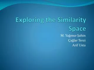 Exploring the Similarity Space