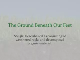 The Ground Beneath Our Feet