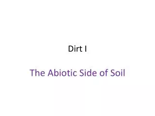 Dirt I