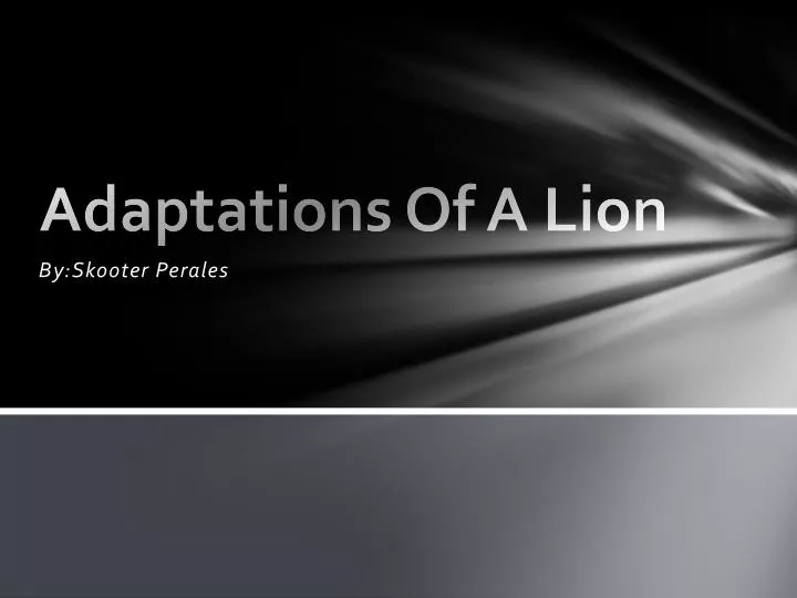 adaptations of a lion