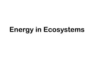 Energy in Ecosystems