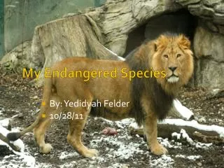 My Endangered Species