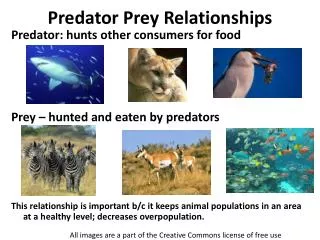 Predator Prey Relationships