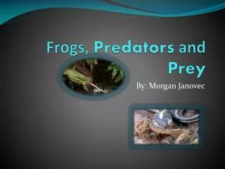 Frogs, Predators and Prey