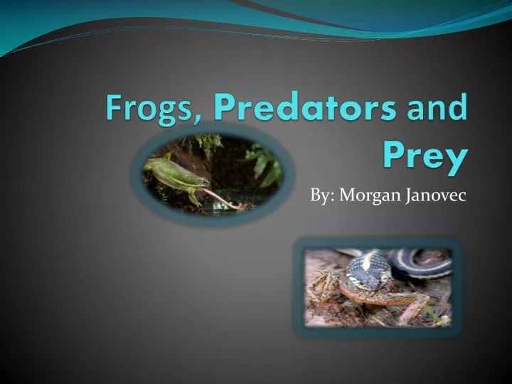 frogs predators and prey