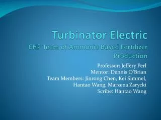 Turbinator Electric CHP Team of Ammonia Based Fertilizer Production