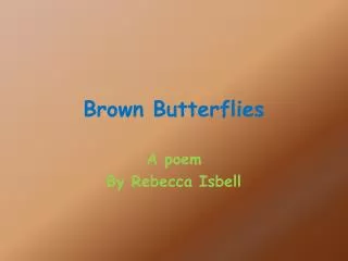 Brown Butterflies