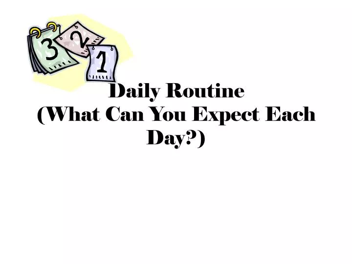 daily routine what can you expect each day