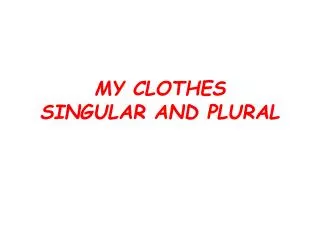 MY CLOTHES SINGULAR AND PLURAL