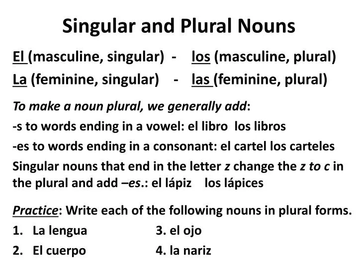 singular and plural nouns