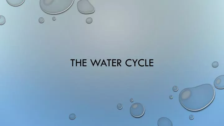 the water cycle