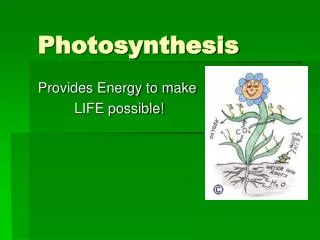 Photosynthesis