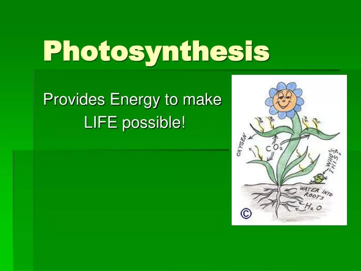 photosynthesis