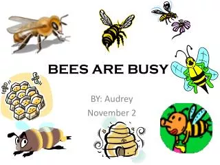 BEES ARE BUSY