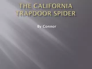 The California Trapdoor spider